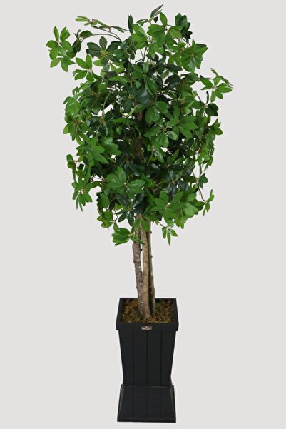 Yapay Çiçek Deposu Ahşap Saksıda Yapay Schefflera (şeflera) Ağacı 180 Cm