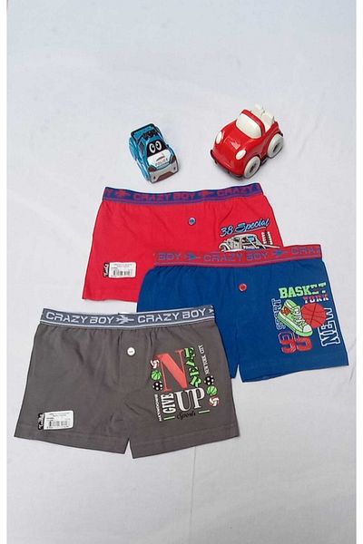 Tutku Boy's Multicolor 6-Pece Elastane Cotton Printed Boxers 0253