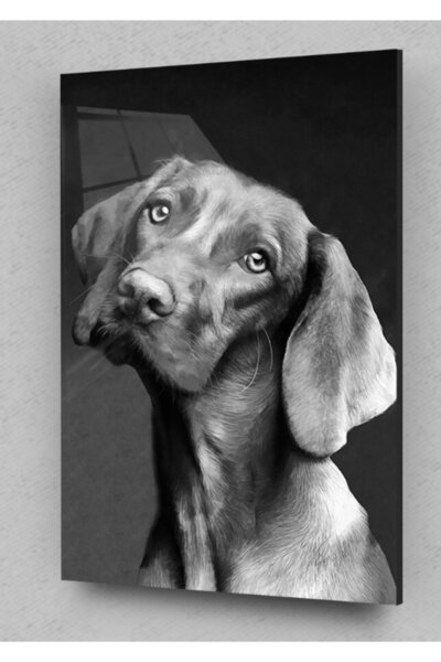 Assos Design Nevini pas, slikanje na staklu, slike pasa, slike prirode, zidni...