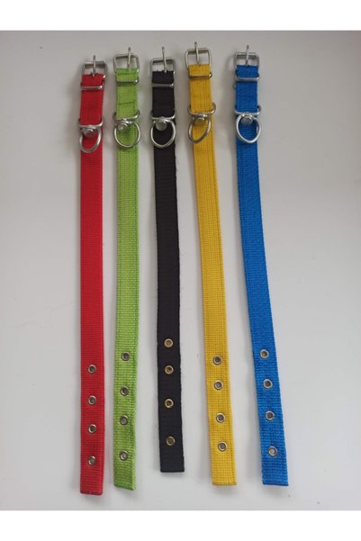 Kozak Küçük Ve Orta Irk Köpek Tasmasi Boy 50 En 2.5 Cm