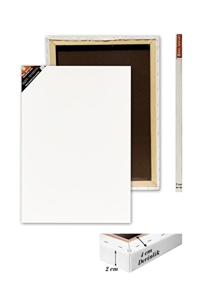 BAL SANAT 50x70 Profesyonel Tuval Arkadan Zımbalı