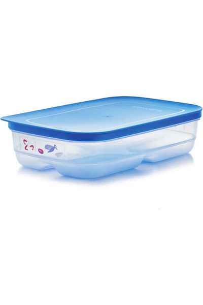Tupperware Cool Sakla Raw Meat Fish Chicken Storage Container Hsgl 1.8 lt