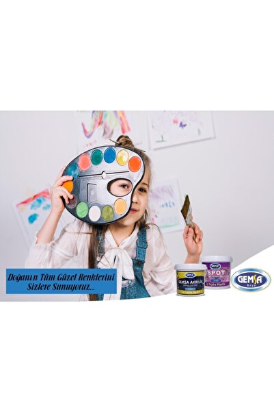 GEMSA BOYA Gemsa Fiorelux Antipas Solvent Bazlı 9 Kg Gri