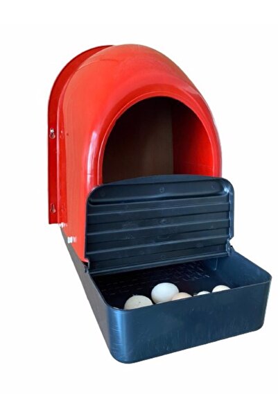 gelişimtav Plastik Duvara Asılan Tavuk Folluğu