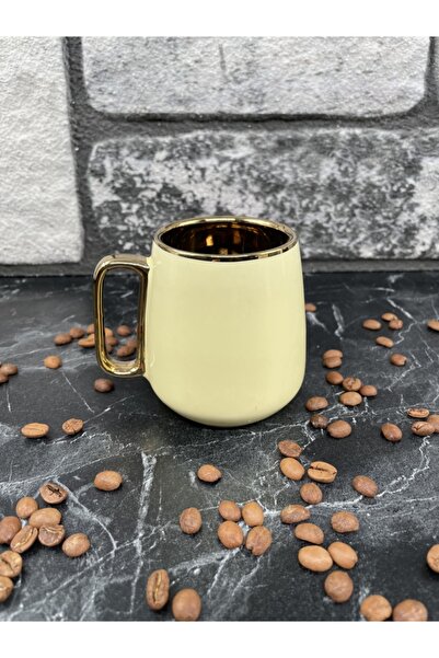 YzHome Acar Lüks Porselen Renkli Yaldızlı Kupa Bardak 220ml