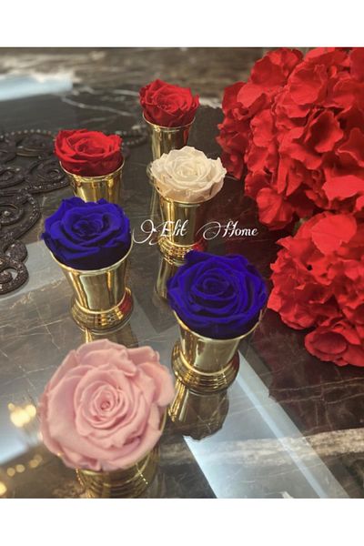 ELİTHOMEDEKOR Gold Rose Bucket - 2 Pieces