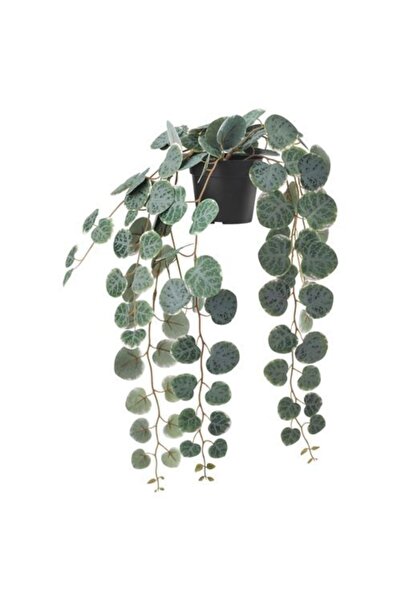 IKEA Kalp Kalbe Karşı Çiçeği 9 Cm Yapay Yeşil Bitki Sarkıt