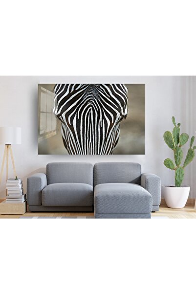 Generic Brand Slika na staklu zebra, slika zebra, slike prirode, zidni dekor,...