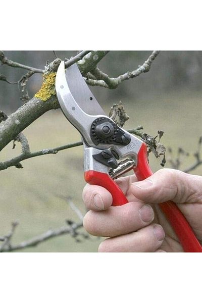 Felco 2 Pruning Shears 21.5mm Right By-pass