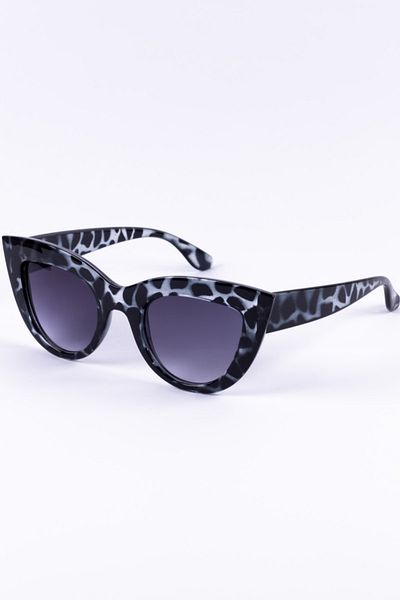 Focus On Eyewear النظارات الشمسية البنفسجي زيبرا عين القطة