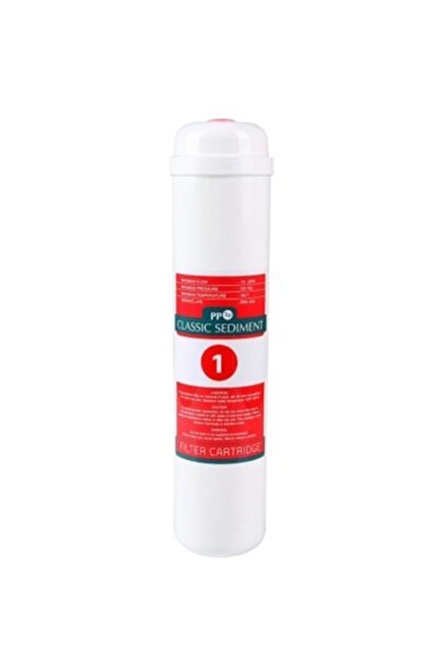 12" Inline Sediment Filtre