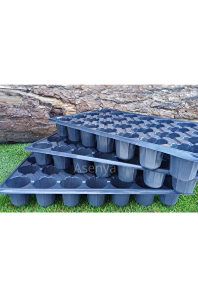 Asenya Fide Viyolü 28 Göz 4 Adet Fide Viyol Fide Viyolleri Fide Yetiştirme Ka...