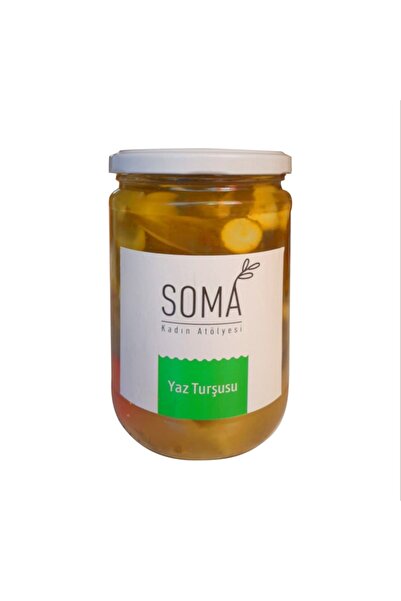 Soma Kadın Atölyesi Karışık Yaz Turşusu Katkısız Ev Yapımı 500 gr