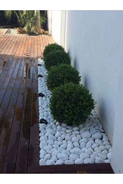 Asenya Dolomit Taş 50 Kg 6-10 Cm Dere Taşı Çakıl Taşı Bahçe Süs Taşı Dolamit ...