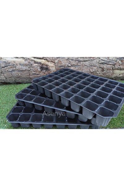 Asenya Fide Viyolü 48 Göz 3 Adet Fide Viyol Fide Viyolleri Fide Yetiştirme Ka...