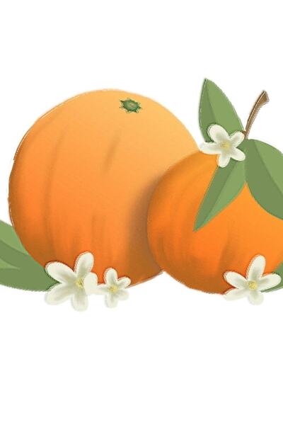 Universal Carte poștală Portocale!! Tablou decorativ din lemn, tip poster