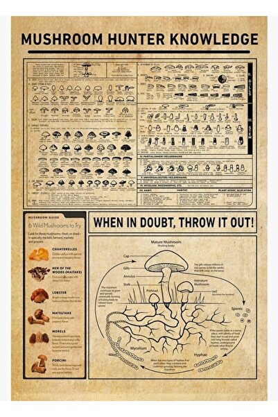 Universal Mantar Avcısı Bilgi Poster Tablo Ahşap Poster Dekoratif