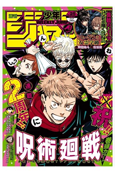 Universal Jujutsu Kaisen Manga Kapak Posteri Tablo Ahşap Poster Dekoratif