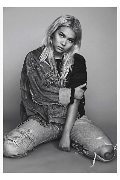 Universal Hayley Kiyoko Fotoğraf Tablo Ahşap Poster Dekoratif