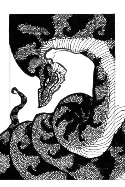 Universal Poster decorativ din lemn Jörmungandr