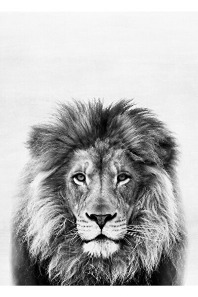 Universal Aslan Tablo Ahşap Poster Dekoratif