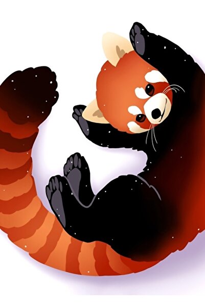 Universal Διακοσμητική Ξύλινη Αφίσα Πίνακας Κόκκινου Πάντα