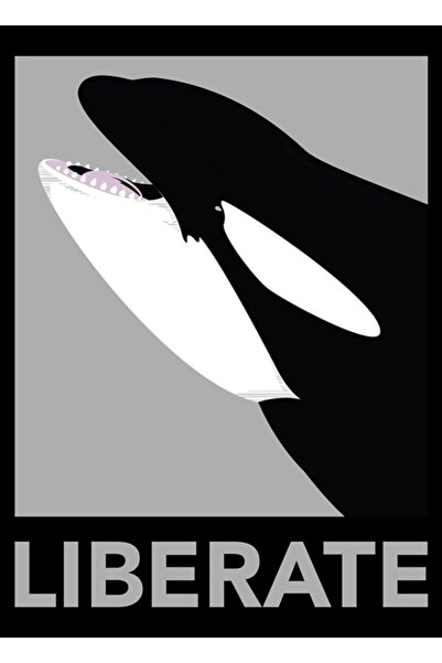 Universal Poster decorativ din lemn Liberate (orca)