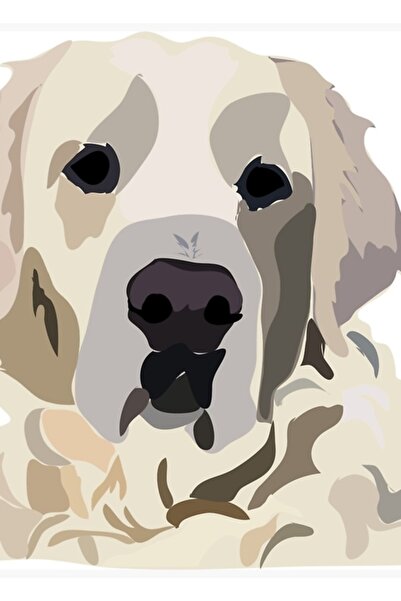 Universal Ingiliz Krem Golden Retriever Tablo Ahşap Poster Dekoratif