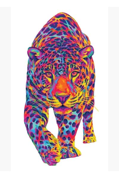 Universal Διακοσμητική ξύλινη αφίσα ζωγραφικής με θέμα το ουράνιο τόξο και το...