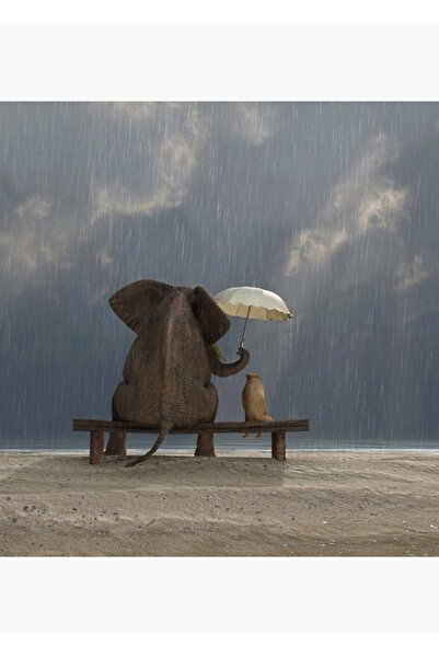 Universal Elefant și câine stau sub ploaie Tablou Poster din lemn decorativ