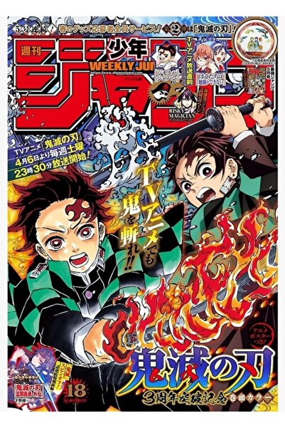 Universal Shonen Jump Tanjiro Tablo Ahşap Poster Dekoratif