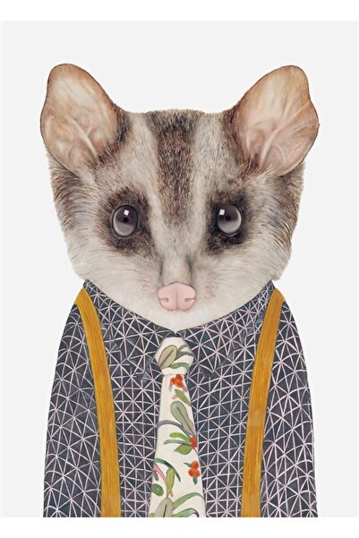 Universal Poster decorativ din lemn cu tablou Possum