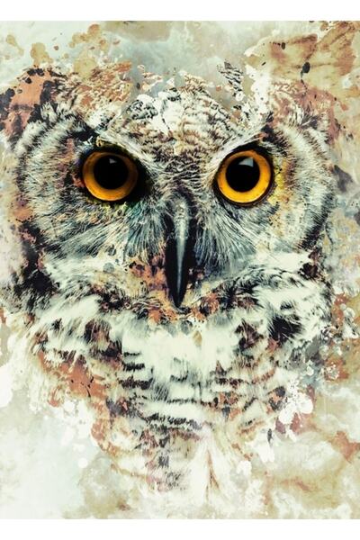 Universal Poster decorativ din lemn cu bufniță II