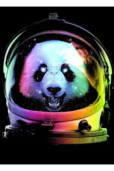 Universal Afiș decorativ din lemn cu astronaut panda