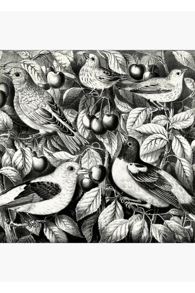 Universal Πίνακας - Πολύχρωμο