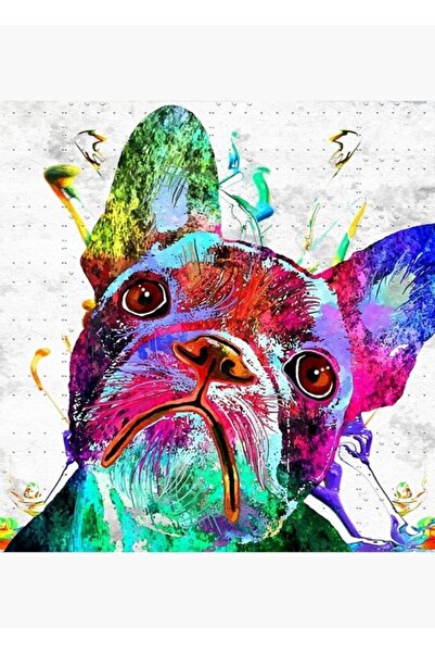 Universal Γαλλικό μπουλντόγκ γκραντζ ζωγραφική σε ξύλινη αφίσα διακοσμητική