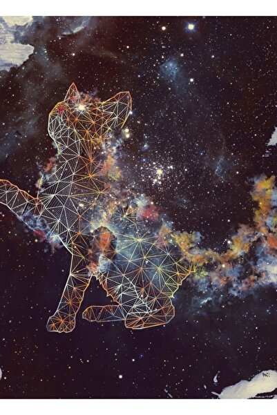 Universal Tablou Pisica Cerului Poster din lemn decorativ