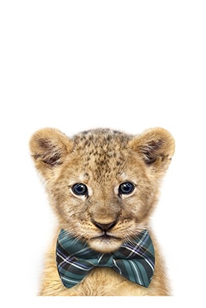 Universal Papyonlu Bebek Aslan, Bebek Hayvanlar Sanatsal Baskı Synplus Tablo ...