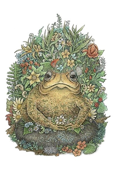 Universal Его Величество Жабата Картина Дървен плакат Декоративен