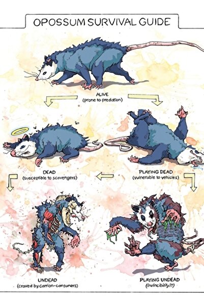Universal Ghidul supraviețuirei oposumilor, tablou decorativ din lemn, poster...