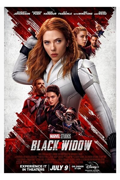 Universal Дървен декоративен плакат с всички герои