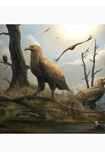 Universal Poster decorativ din lemn Teratornis Tablo