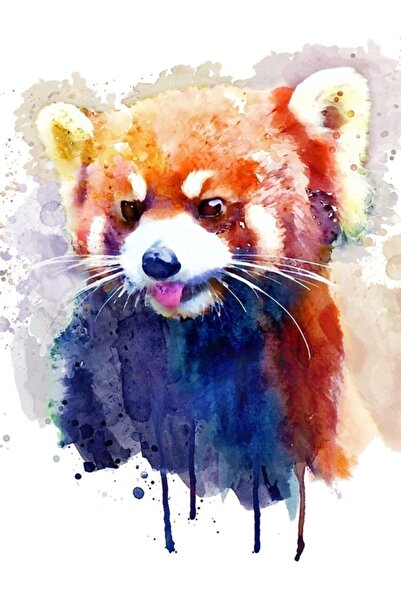 Universal Ζωγραφική Εικονογράφηση Πορτρέτου Κόκκινου Πάντα, Ξύλινη Διακοσμητι...