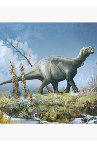 Universal Poster decorativ din lemn cu tabelul periodic al elementelor de bariu