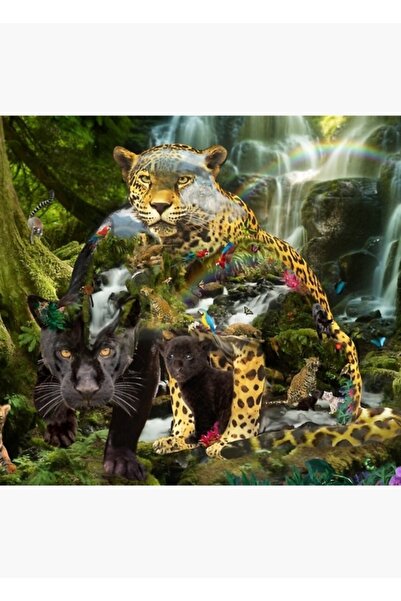 Universal Poster decorativ din lemn cu tablou Jaguar Cascada Pădure