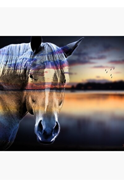 Universal Διακοσμητική Ξύλινη Αφίσα Τραπεζιού με Άλογα