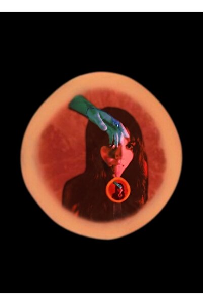 Universal Poster decorativ din lemn cu etichetă de tablou cu cuști neînșirate