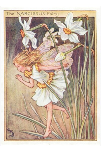 Universal Cicely Mary Barker'ın “nergis Perisi” Tablo Ahşap Poster Dekoratif