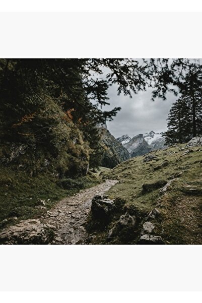 Universal Poster decorativ din lemn cu harta drumului spre Seealpsee