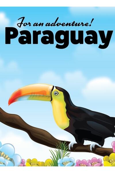 Universal Paraguay Toucan Travel Poster Tablo Poster din lemn decorativ